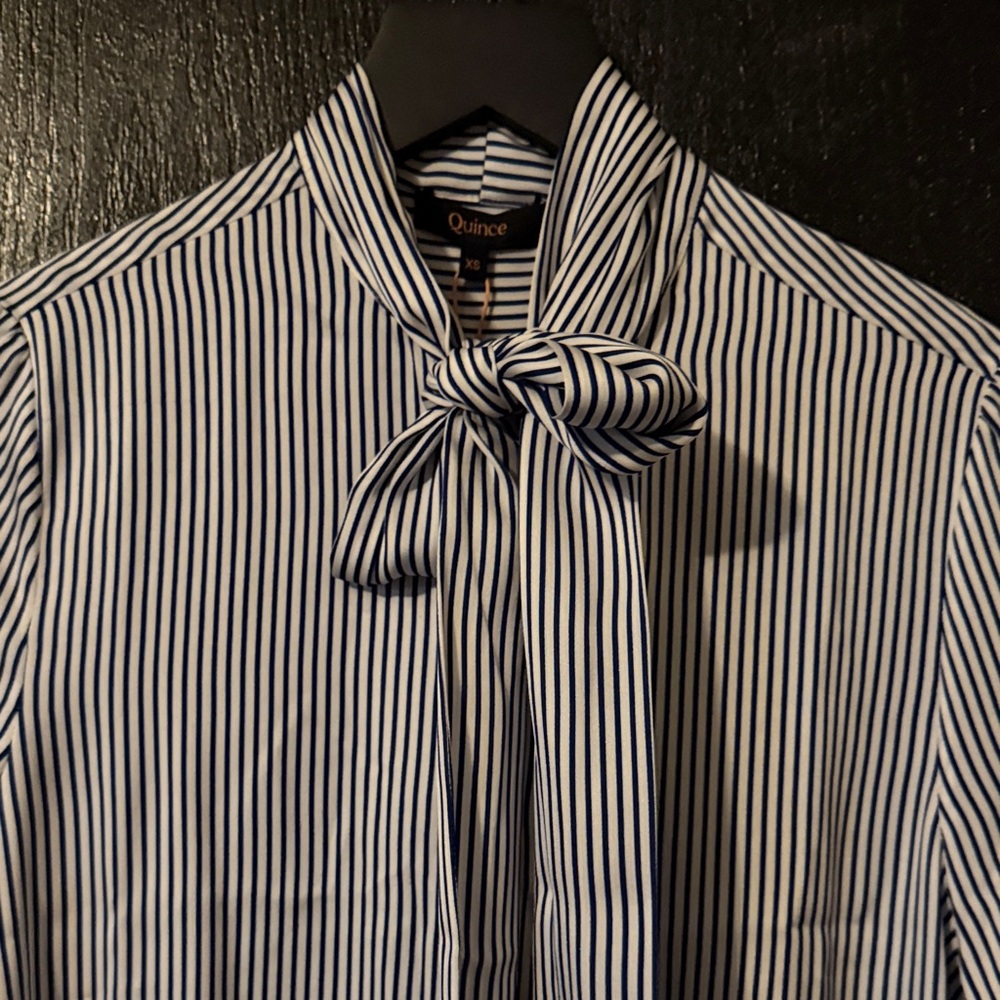 Quince Washable Stretch Silk Tie Neck Blouse - Picture 7 of 10